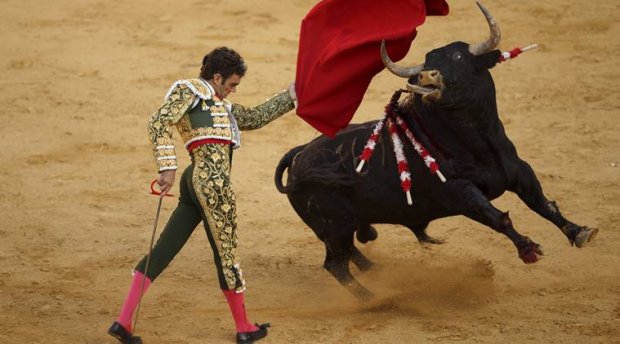 Thousands protest bullfighting in Spain as calls for ban